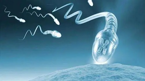 试管婴儿的要求,怎样更容易成功?