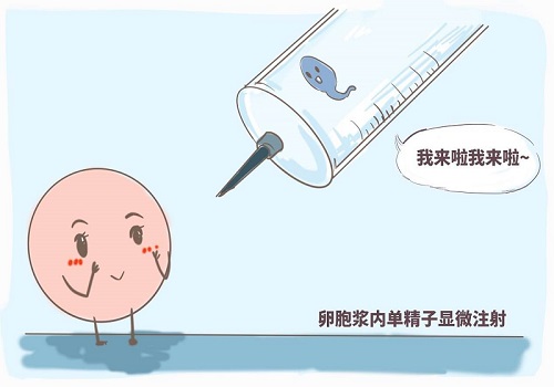 高龄夫妇南方医院做试管婴儿多少钱？