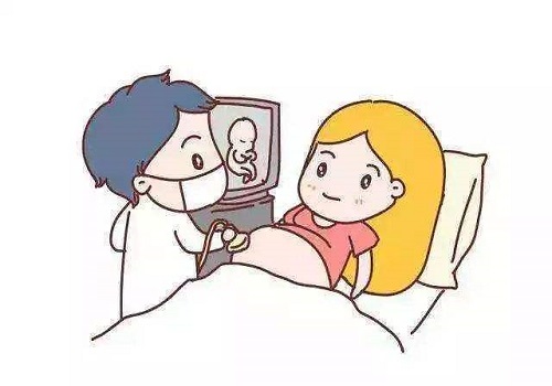试管婴儿的费用分为哪些
