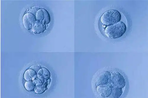 2021海南海口三代试管婴儿医院排行榜