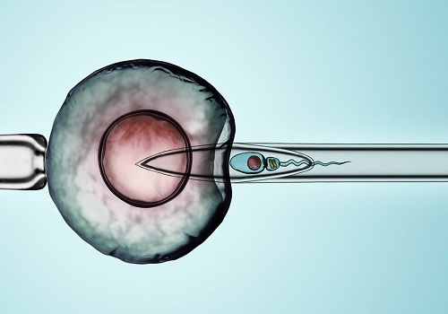 试管婴儿打生长激素卵子质量会变好吗？