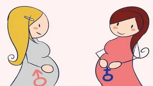 试管婴儿哪个国家做的好？