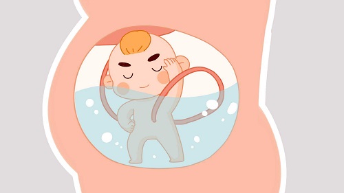 上海可以做试管婴儿医院排名有哪些？来看看