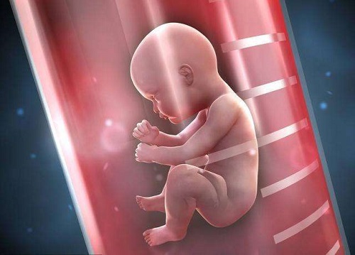 试管婴儿女人要承受多少痛苦？哪个过程痛苦？