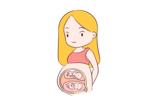 试管婴儿的费用包括什么