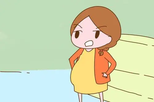 试管婴儿移植前注意事项