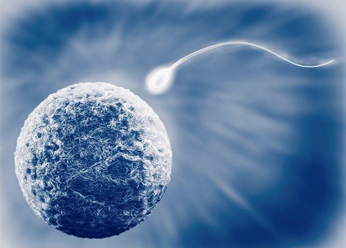 2021杰特宁三代试管费用需要多少钱？