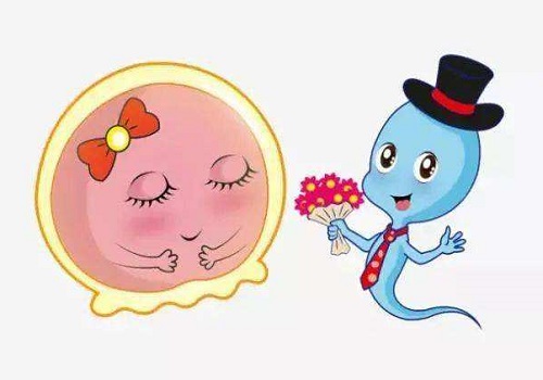 慢性宫颈炎赴泰做试管婴儿该如何提高成功率