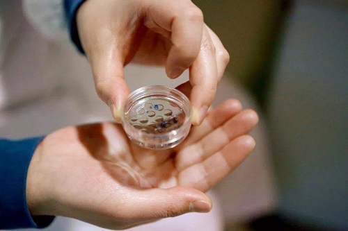 40岁女人做试管婴儿的成功率有多少